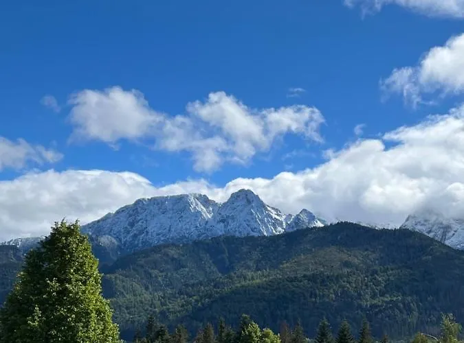 Appartement Cud Miod